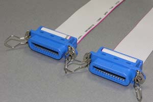 セントロニクスケーブル 24pin フラットケーブル(メス-メス) <お取り寄せ 4~7営業日後出荷>