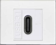 ガイドチップUSB-Cタテ