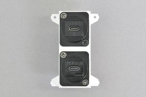 絶縁コンセント取付枠用 コンセントモジュール  USB 3.1 Type-C メス-メス【USB3.1対応】 2口（ノイトリックスタイルコネクタ付き）