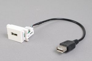 コンセントチップ　　コンセント側：USB（Aコネクタ　メス）／ケーブル側：USB（Aコネクタ　メス）